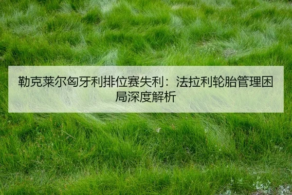 lei-ke-lai-er-xiong-ya-li-pai-wei-sai-shi-li-fa-la-li-lun-tai-guan-li-kun-ju-shen-du-jie-xi-2-793.jpg