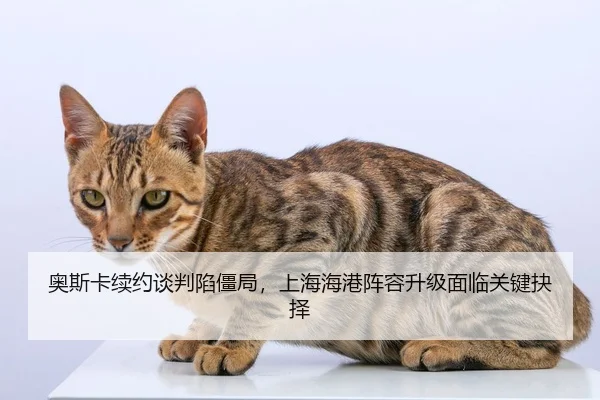 ao-si-ka-xu-yue-tan-pan-xian-jiang-ju-shang-hai-hai-gang-zhen-rong-sheng-ji-mian-lin-guan-jian-jue-ze-2-816.jpg