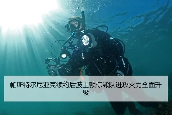 帕斯特尔尼亚克续约后波士顿棕熊队进攻火力全面升级