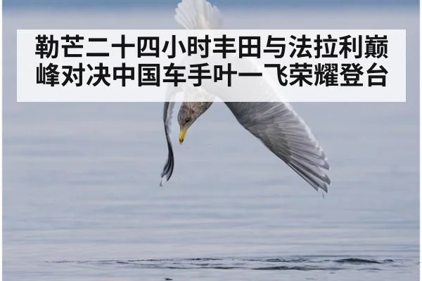 勒芒二十四小时丰田与法拉利巅峰对决中国车手叶一飞荣耀登台