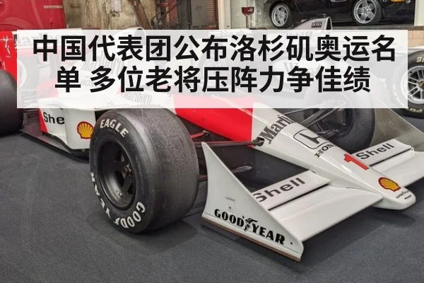 中国代表团公布洛杉矶奥运名单 多位老将压阵力争佳绩