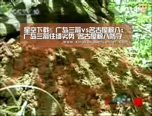 星空下载_
广岛三箭vs名古屋鲸八:广岛三箭往绩劣势 名古屋鲸八防守精彩(图2) 星空直播