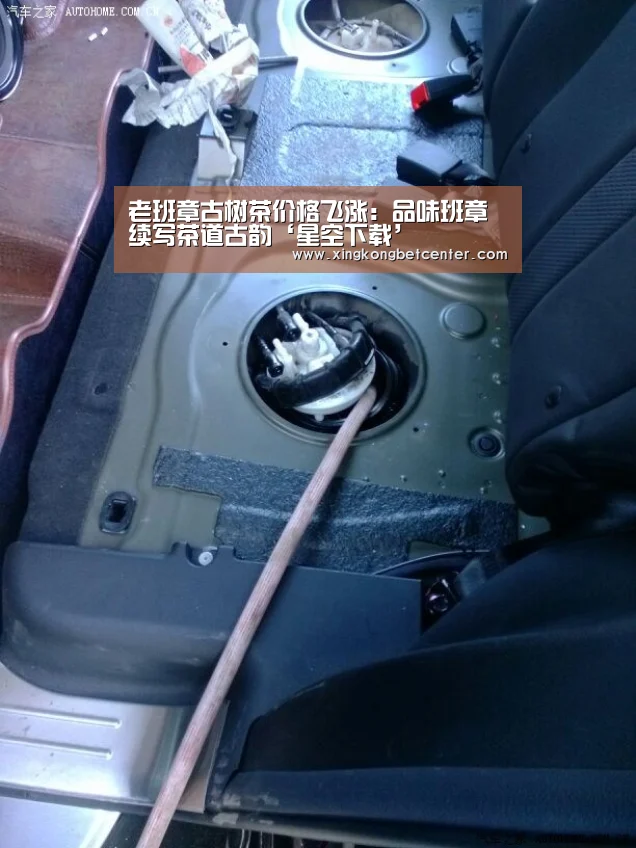 老班章古树茶价格飞涨:品味班章续写茶道古韵‘星空下载’(图1) 星空真人